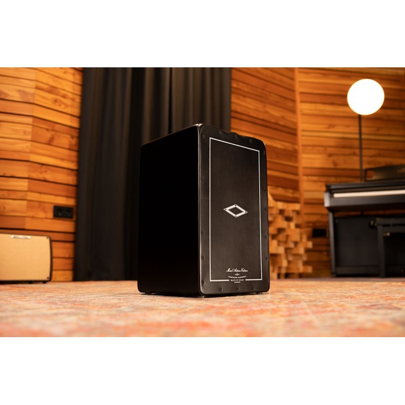 Meinl Percussion AETLSBK - Cajon - 2