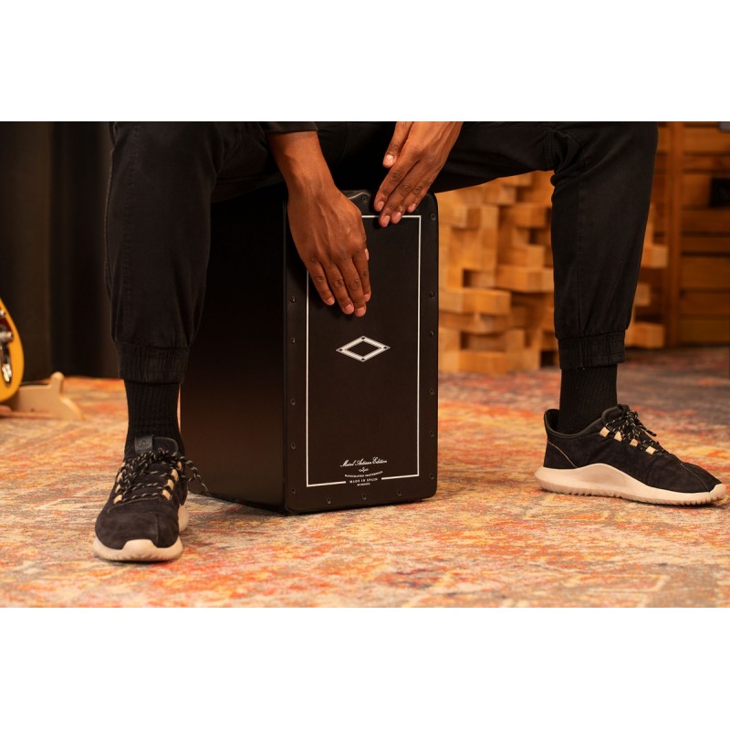 Meinl Percussion AETLSBK - Cajon - 10