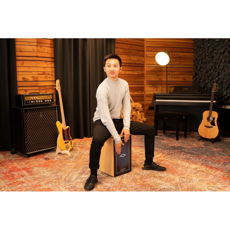 Meinl Percussion AETLBF - Cajon - 11