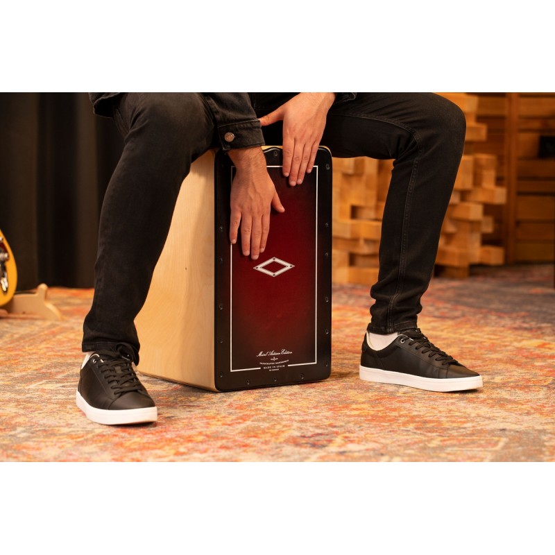 Meinl Percussion AETLRF - Cajon - 10