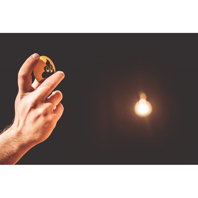 Meinl Percussion FSA1 - Shaker - 8