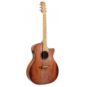 Randon RGI-14VT-CE EQ - gitara elektroakustyczne - 1