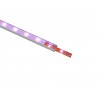 EUROLITE profil aluminiowy do taśm LED 2m - 5
