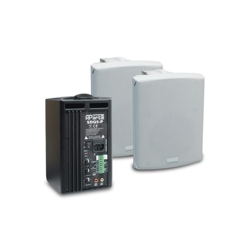 APART SDQ5P W - zestaw głośników [PARA]