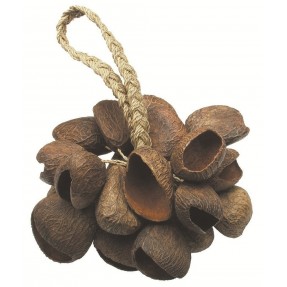 Toca TO804444 - Shaker Seed Shell T-SS - 1