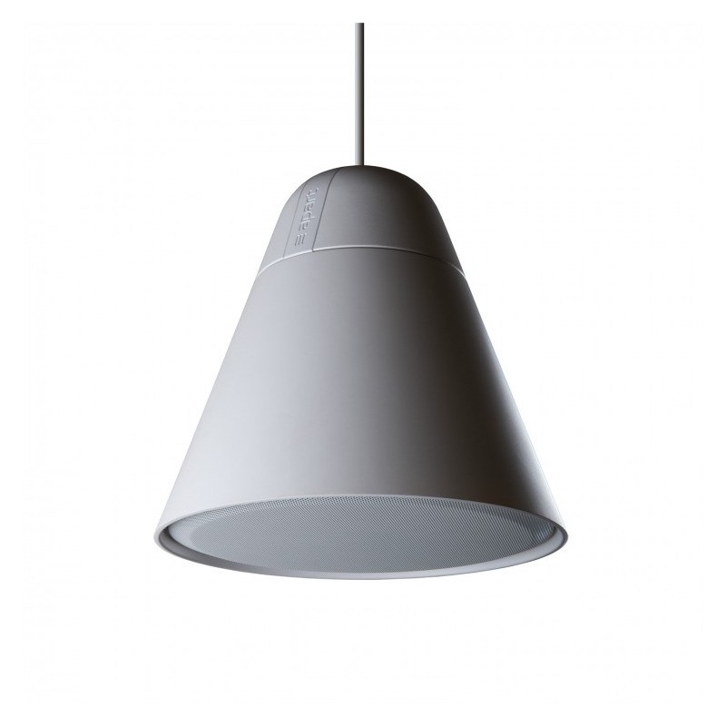 Apart P60DT-W - głośnik instalacyjny, wiszący