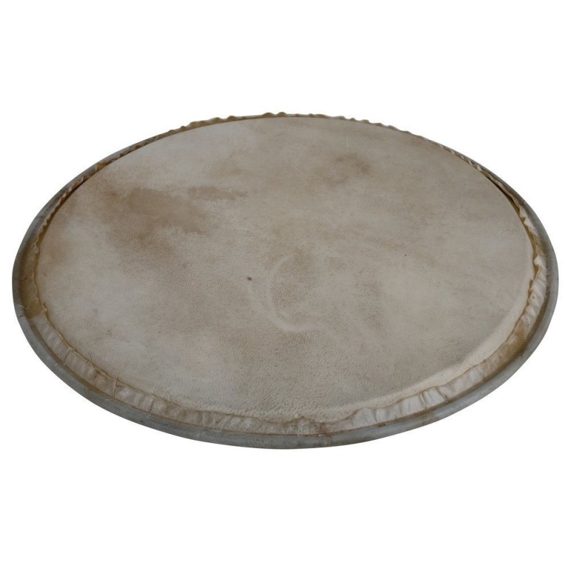 Latin Percussion WB505A - Naciąg perkusyjny Plenera - 1