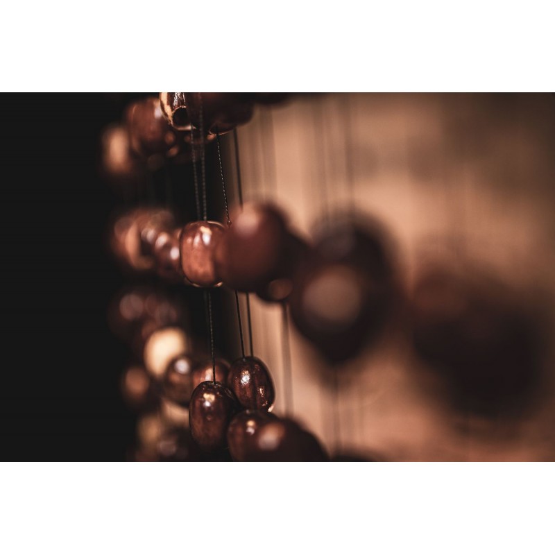 MEINL Sonic Energy SPCH - Chimes Pala - 7