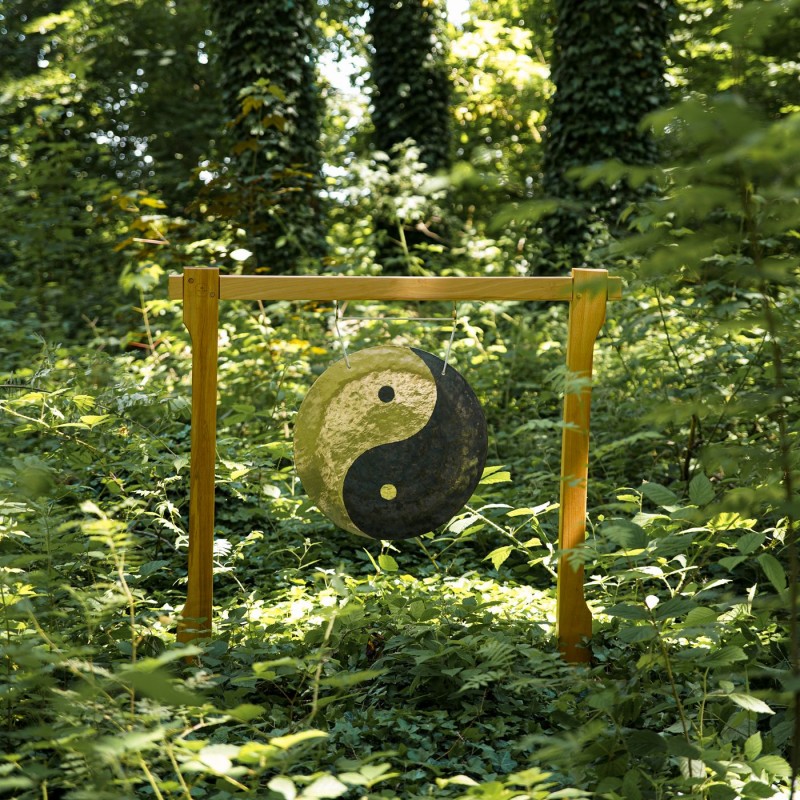 MEINL Sonic Energy WGYY20 - Gong wietrzny 20" / 50 cm - 5