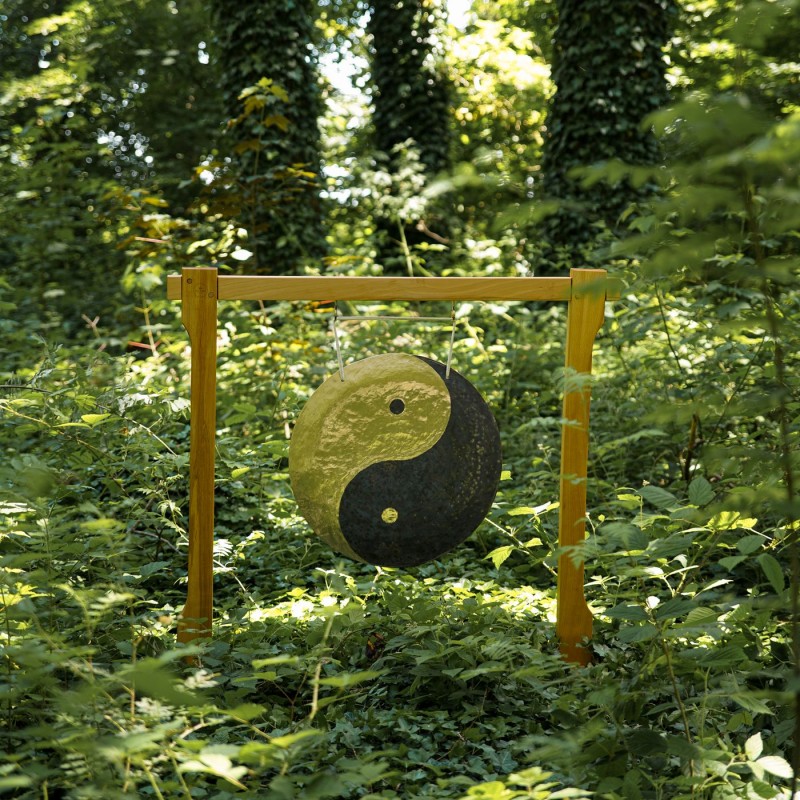 MEINL Sonic Energy WGYY22 - Gong wietrzny 22" / 55 cm - 4