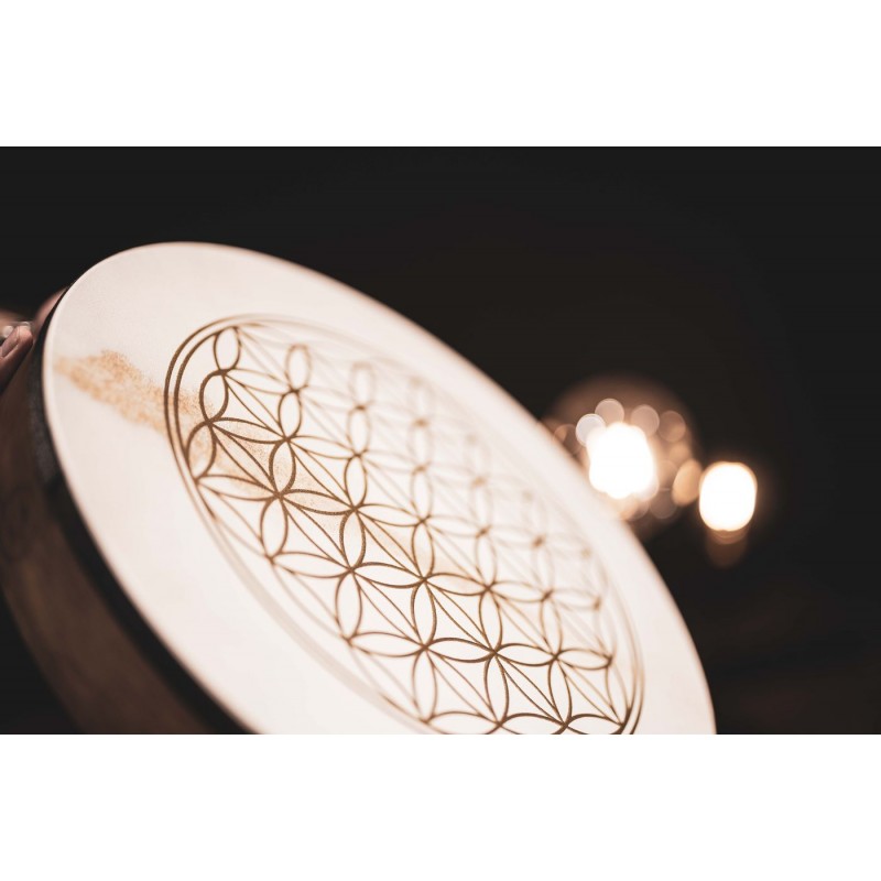 MEINL Sonic Energy HD16WB-FOL - Hand Drum 16" / 40.6 cm - 4