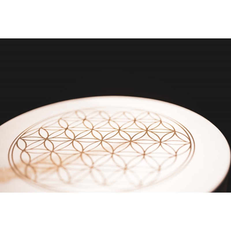 MEINL Sonic Energy HD16WB-FOL - Hand Drum 16" / 40.6 cm - 5