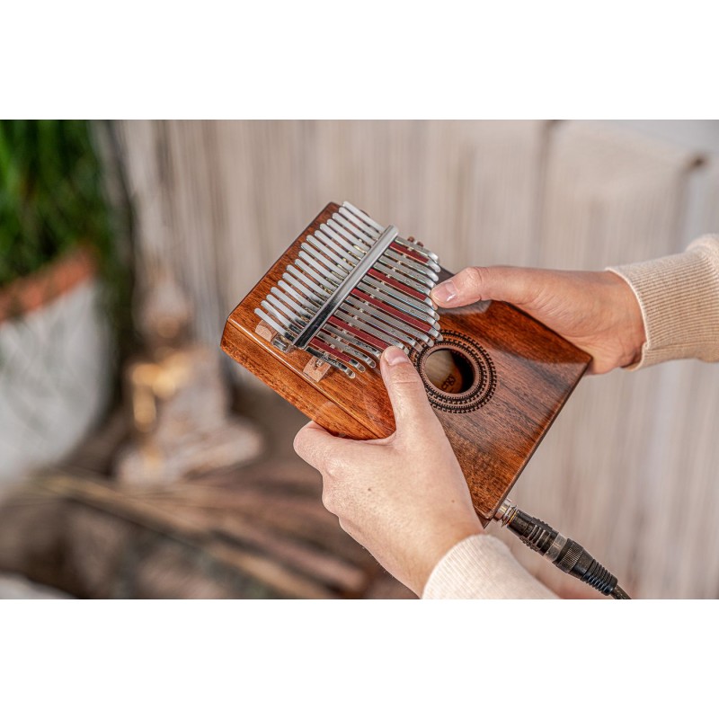 MEINL Sonic Energy PKL1707H - Kalimba 17 tonów - 10