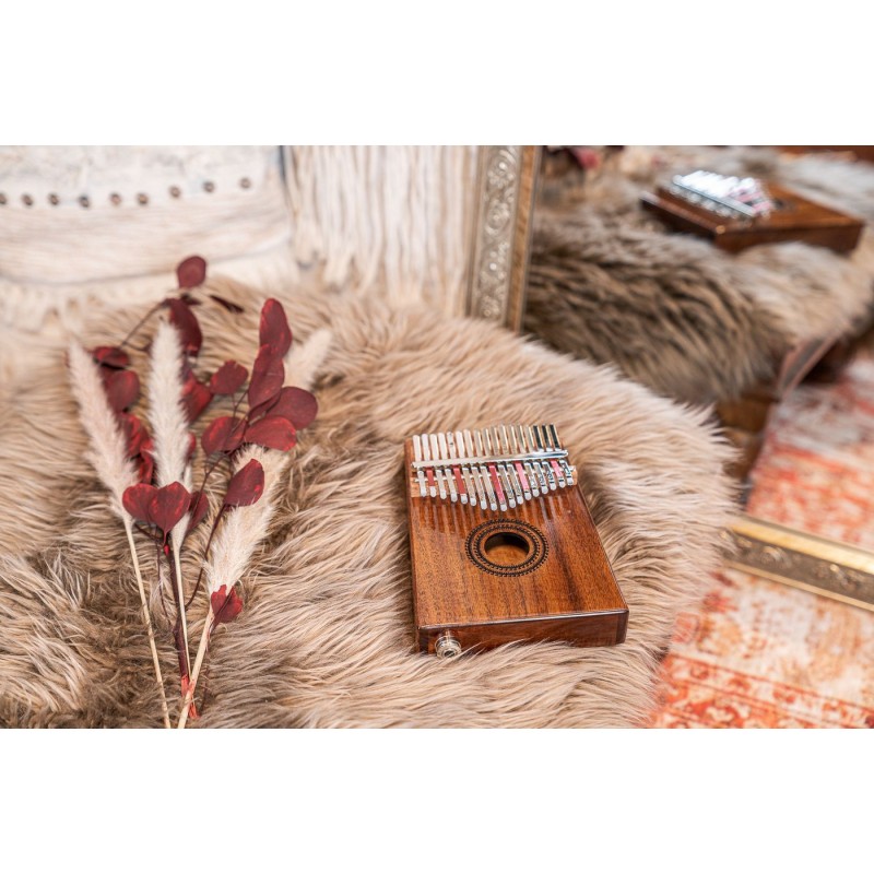 MEINL Sonic Energy PKL1707H - Kalimba 17 tonów - 12