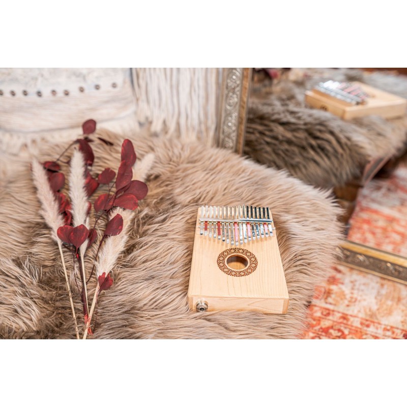 MEINL Sonic Energy PKL1709H - Kalimba 17 tonów - 12