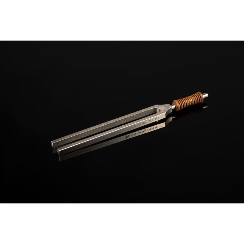 MEINL Sonic Energy TTF-E-SI - Kamerton 194.71 Hz - 4