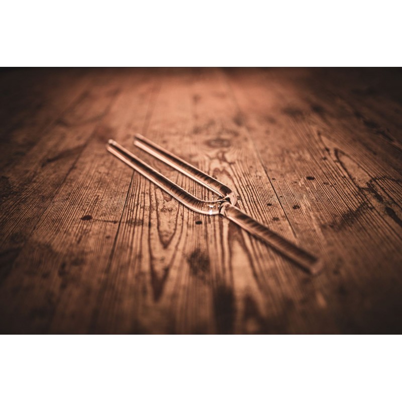 MEINL Sonic Energy CTF440F20 - Kamerton F4 - 4