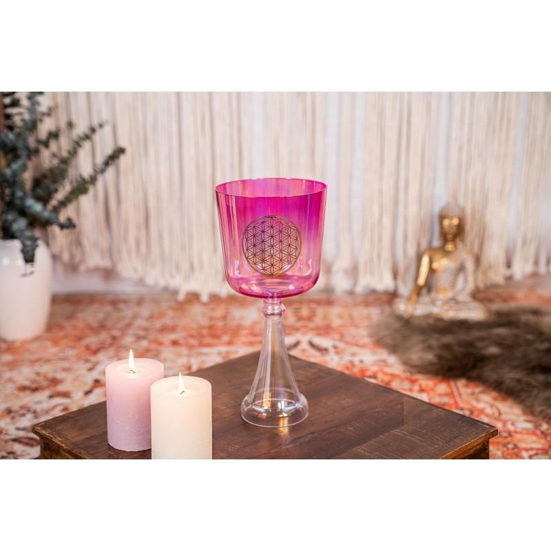 MEINL Sonic Energy CSC6FPFOL - Kielich śpiewający 6" / 15 cm - 2