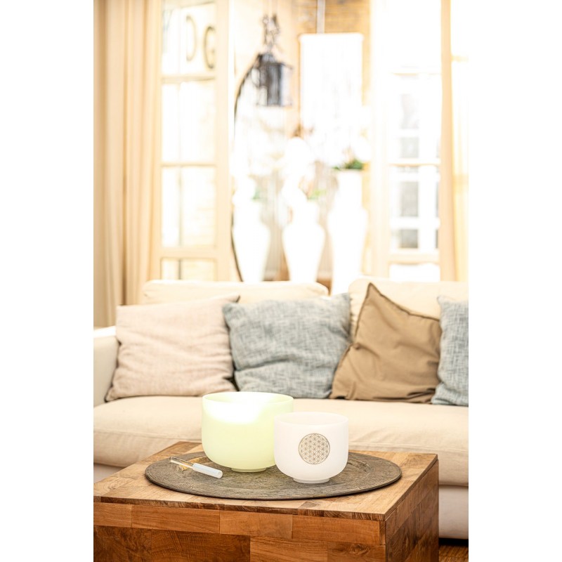 MEINL Sonic Energy CSBE10F - Misa śpiewająca 10" / 25 cm - 8