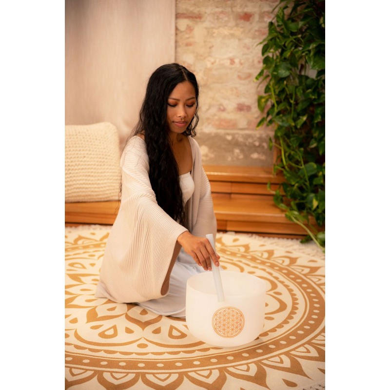 MEINL Sonic Energy PCSB10FOL - Misa śpiewająca 10" / 25 cm - 2