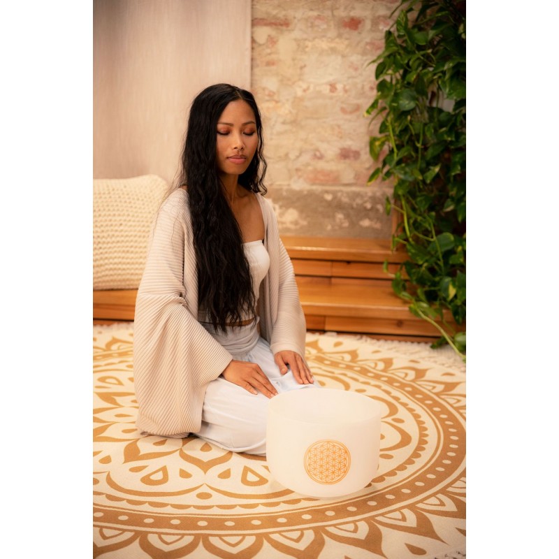 MEINL Sonic Energy PCSB10FOL - Misa śpiewająca 10" / 25 cm - 3