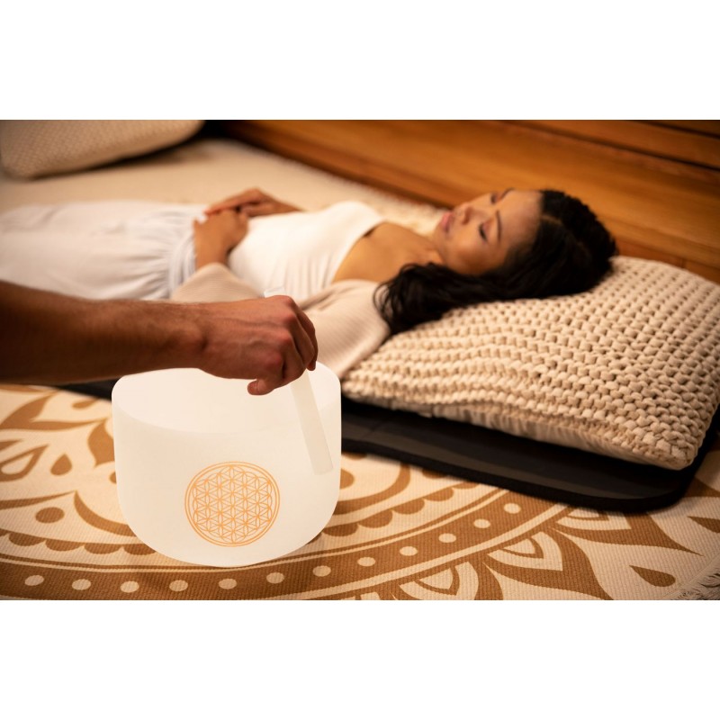 MEINL Sonic Energy PCSB10FOL - Misa śpiewająca 10" / 25 cm - 4