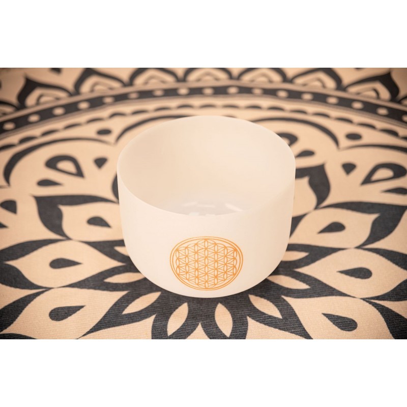 MEINL Sonic Energy PCSB10FOL - Misa śpiewająca 10" / 25 cm - 5