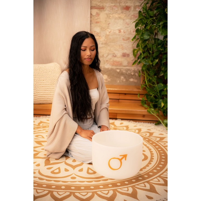 MEINL Sonic Energy PCSB12MA - Misa śpiewająca 12" / 30 cm - 3