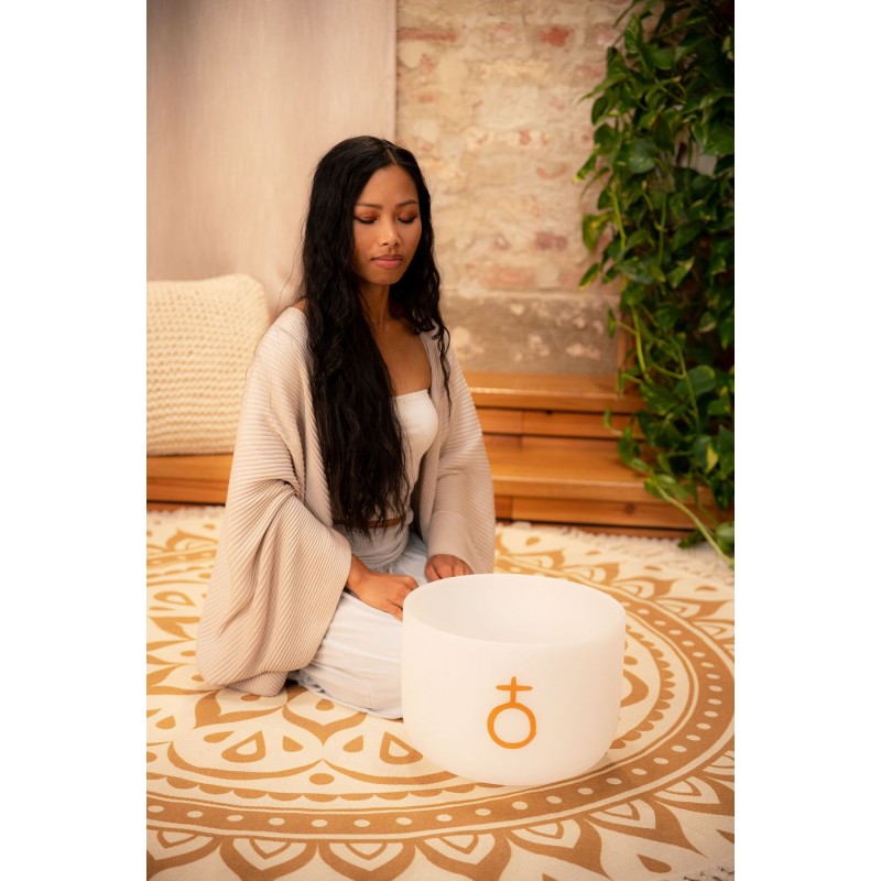 MEINL Sonic Energy PCSB12E - Misa śpiewająca 12" / 30 cm - 3