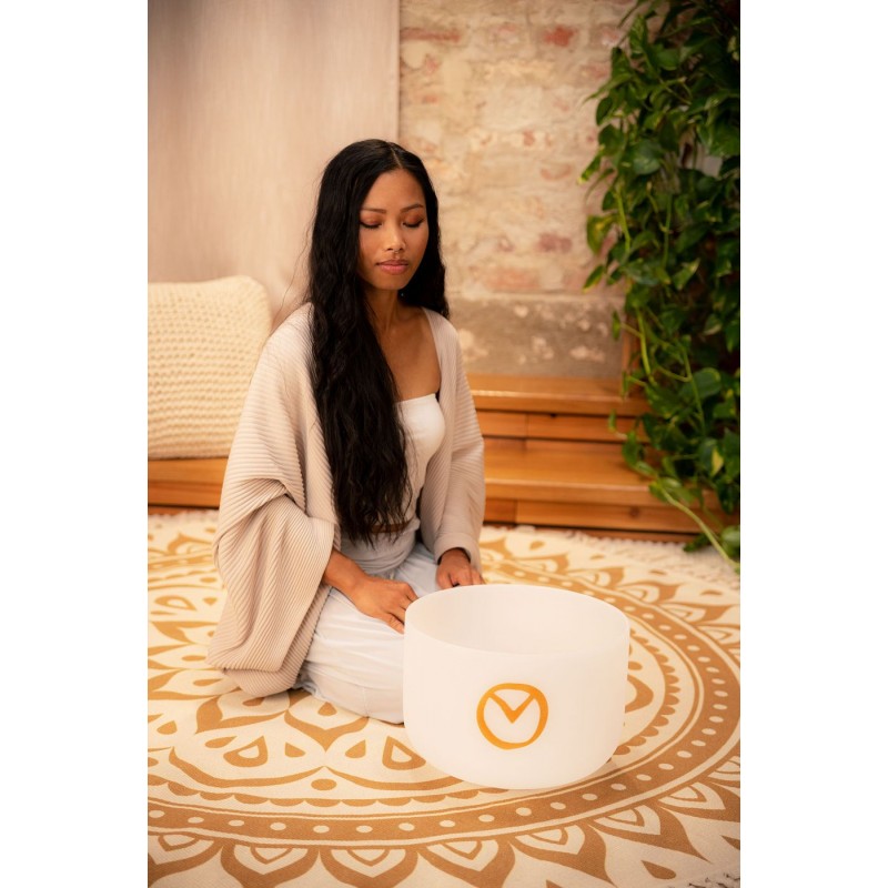 MEINL Sonic Energy PCSB12ESY - Misa śpiewająca 12" / 30 cm - 3