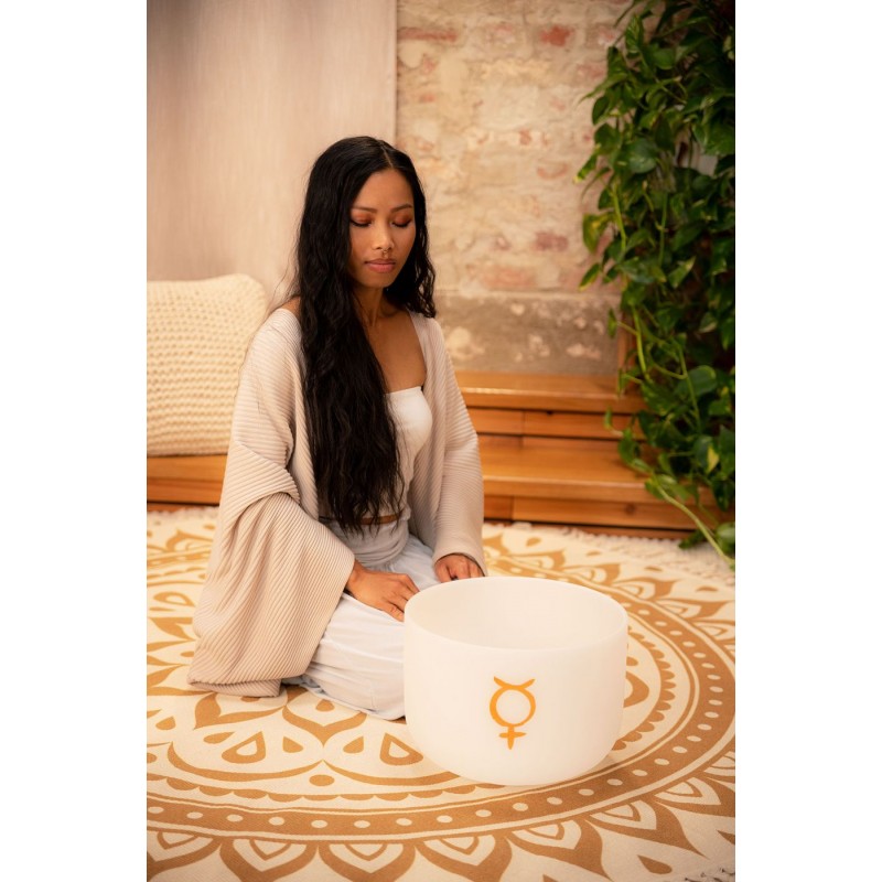 MEINL Sonic Energy PCSB12ME - Misa śpiewająca 12" / 30 cm - 3