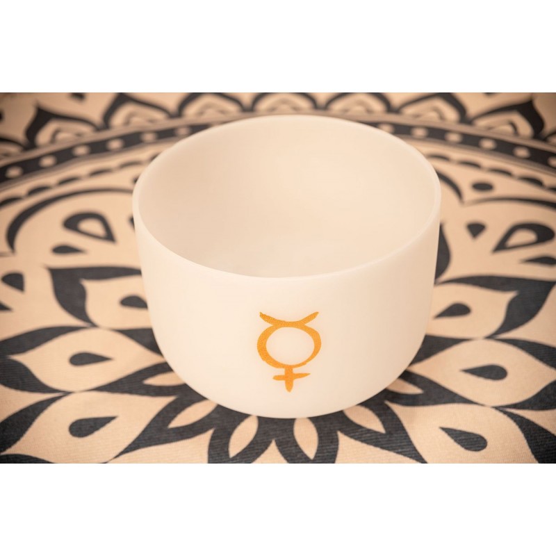 MEINL Sonic Energy PCSB12ME - Misa śpiewająca 12" / 30 cm - 5