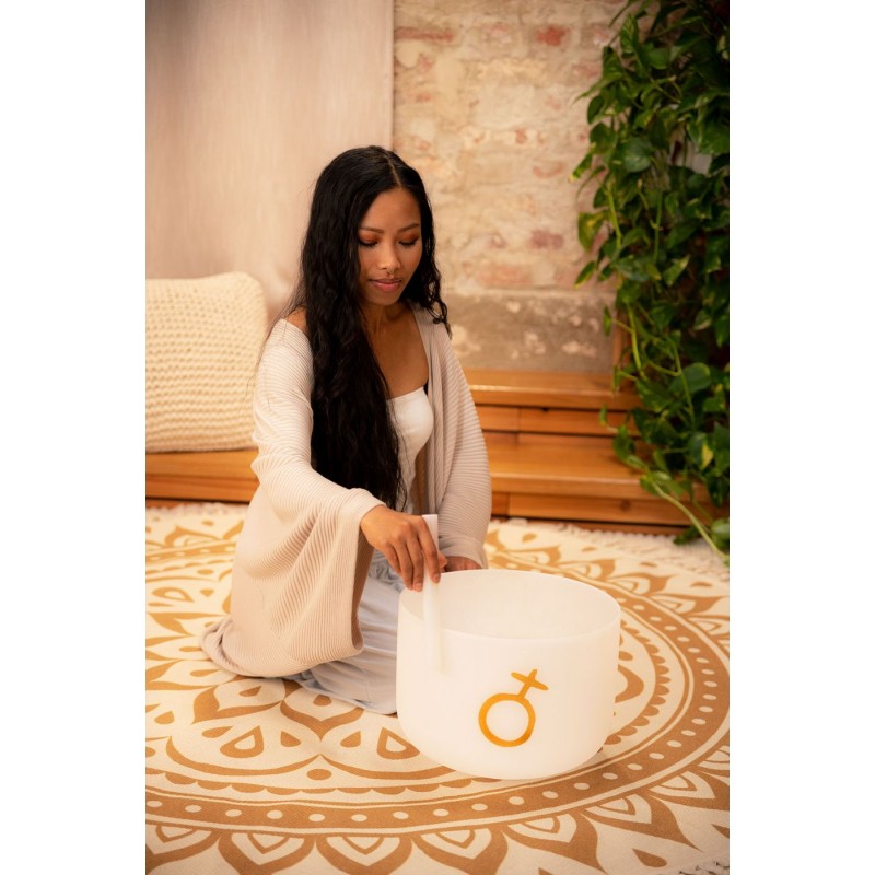 MEINL Sonic Energy PCSB12EPL - Misa śpiewająca 12" / 30 cm - 2