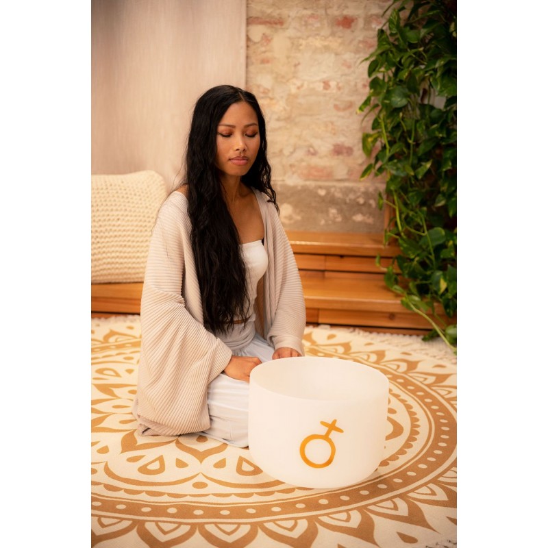 MEINL Sonic Energy PCSB12EPL - Misa śpiewająca 12" / 30 cm - 3