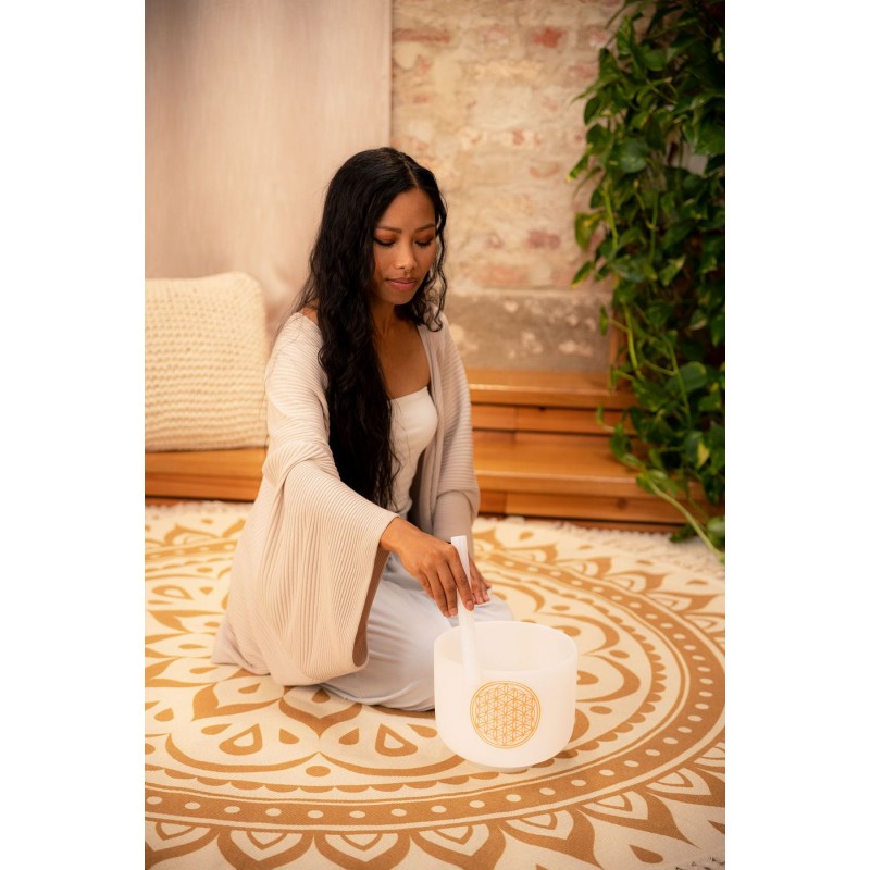 MEINL Sonic Energy PCSB8FOL - Misa śpiewająca 8" / 20 cm - 2