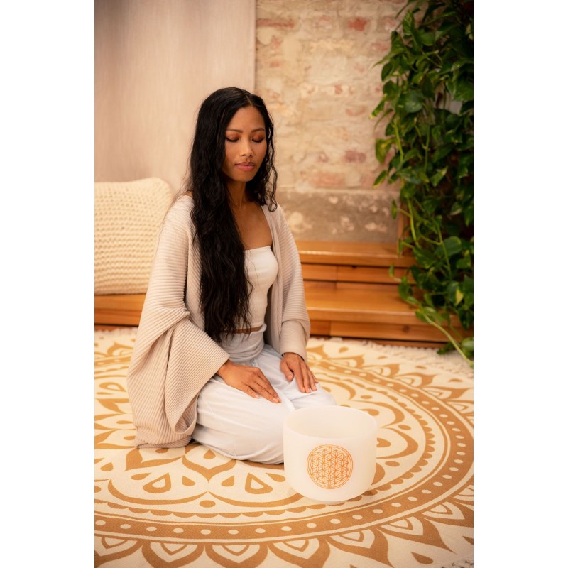 MEINL Sonic Energy PCSB8FOL - Misa śpiewająca 8" / 20 cm - 3