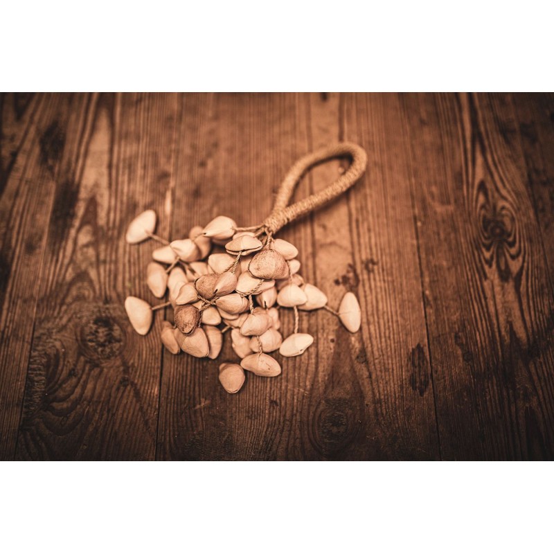 MEINL Sonic Energy SKRS - Shaker Kenari - 8