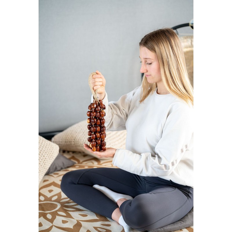 MEINL Sonic Energy SPRL - Shaker Pala - 2