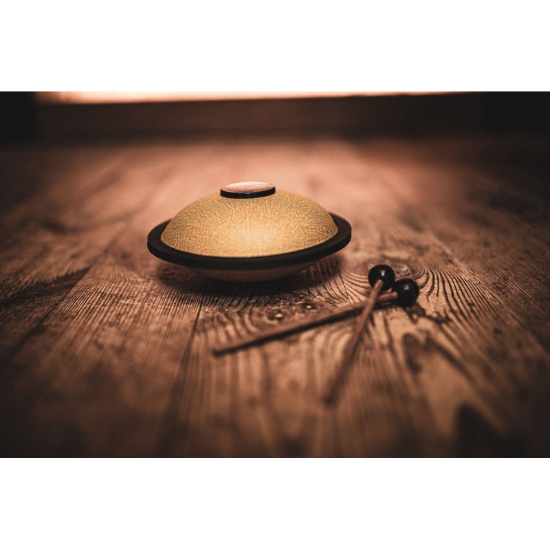 MEINL Sonic Energy MSTD3G - Tongue Drum 6" / 15,24 cm - 10