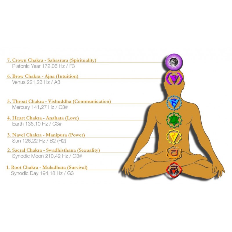 MEINL Sonic Energy EC-SET-CHA-7 - Zestaw 7 dzwonków czakrowych - 5