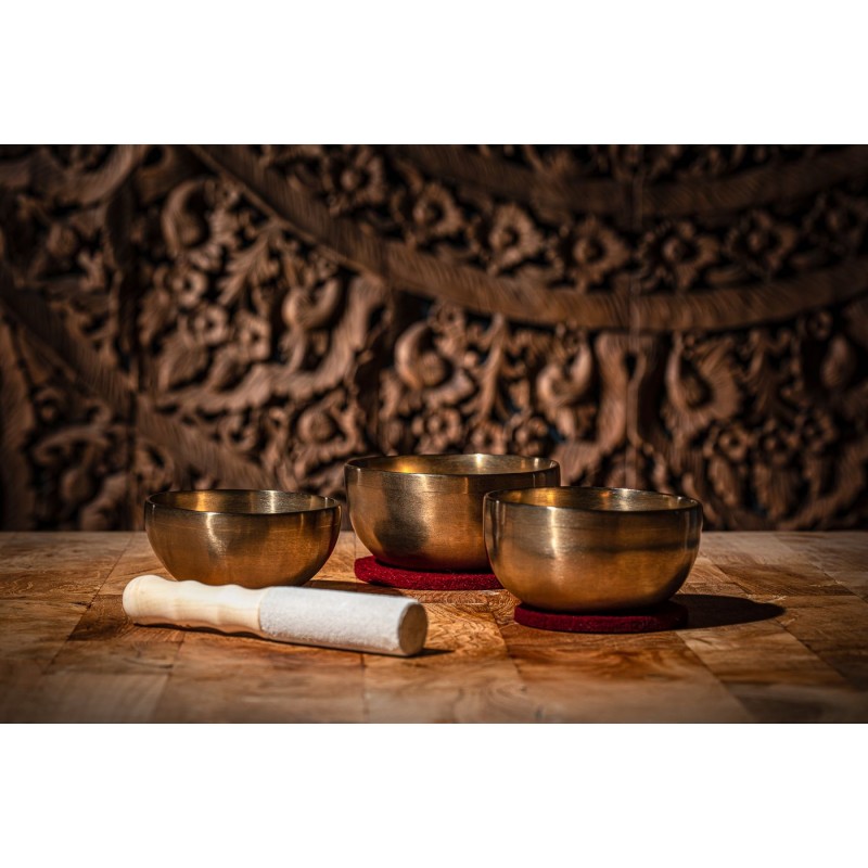 MEINL Sonic Energy SB-U-1500 - Zestaw mis śpiewających - 11