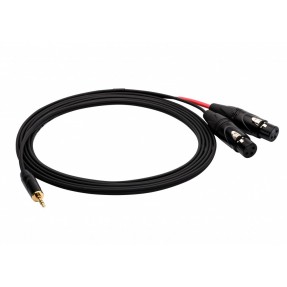REDS AU3630 BX - kabel audio mJSsls2XLR F 3 m