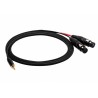 REDS AU3630 BX - kabel audio mJSsls2XLR F 3 m