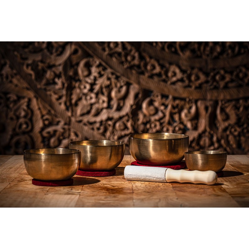 MEINL Sonic Energy SB-U-1750 - Zestaw mis śpiewających - 11