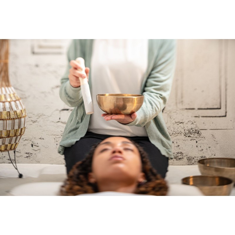 MEINL Sonic Energy SB-E-3100 - Zestaw mis śpiewających - 12