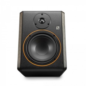 Palmer STUDIMON 5 - monitor studyjny