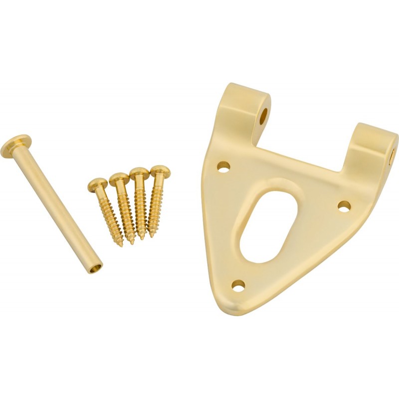 Bigsby Zawias z sworzniem zawiasu i śrubami, złoty - 1
