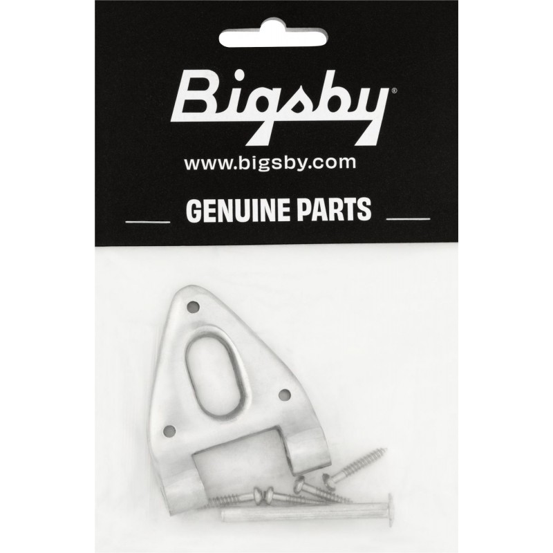 Bigsby Zawias z sworzniem zawiasu i śrubami, polerowane aluminium - 2