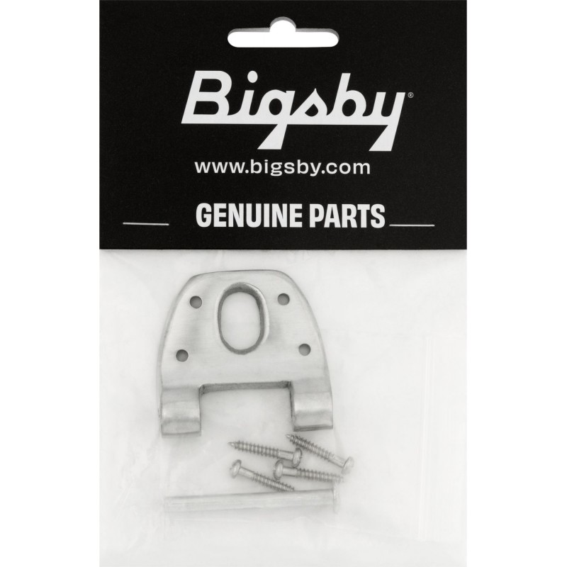 Bigsby Zawias krótki z sworzniem zawiasu i śrubami, polerowane aluminium - 2