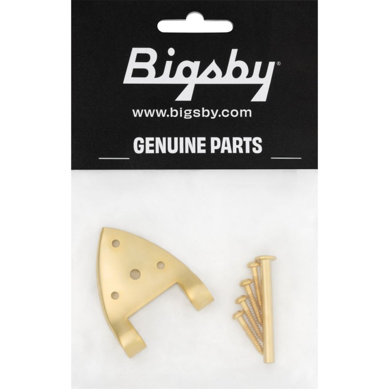 Bigsby Zawias B3/6C z sworzniem zawiasu i śrubami, złoty - 2